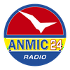 undefined ANMIC 24