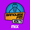 undefined Banquise Mix