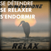 undefined Se détendre, se relaxer, s'endormir avec Radio Dimensione Relax