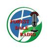 undefined Forest Dale Radio (FDR)