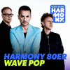 undefined harmony 80er Wave Pop