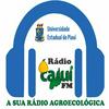 undefined Rádio Web Cajuí - A sua Rádio Agroecológica