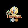 undefined Tropical 100 Light Dance