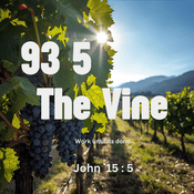 Radio 93 5 The Vine