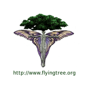 Radio Flying Tree Radio
