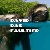 Radio David Das Faultier