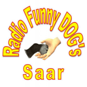 Funny-Dogs-Saar