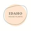 undefined A Beginner’s Guide to House Plants