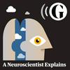undefined A Neuroscientist Explains