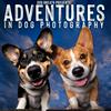 undefined Adventures in Dog Photography