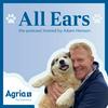 undefined All Ears