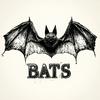 undefined BATS