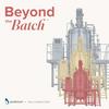 undefined Beyond the Batch