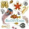 undefined Bio-DIVE-rsity