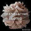 undefined Translating Aging