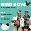 undefined BirdBoys - A Poultry Podcast!