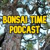 undefined Bonsai Time Podcast