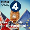 undefined Brexit: A Guide for the Perplexed