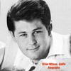 undefined Brian Wilson - Audio Biography