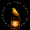 undefined Canaries in the Coal Mine