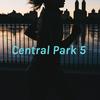 undefined Central Park 5 : Tv Show VS Reality