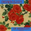 undefined Chumbology: A Chumbawamba Anthology Podcast