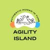 undefined Agility Island - for practitioners &amp; coaches in Product Management, Lean, Agile &amp; Scrum