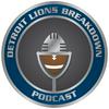 undefined Detroit Lions Breakdown