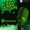 undefined Eco Chats: Carlow's Eco Journey