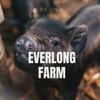 undefined Everlong Farm - Life on a smallholding