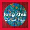 undefined Feng Shui: The Real Thing