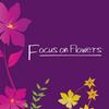 undefined Focus on Flowers