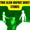 undefined TRUE UFO, Bigfoot and Ghost Stories