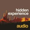 undefined hidden experience audio