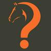 undefined Curious Equestrian