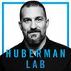 undefined Huberman Lab