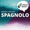 undefined Impara lo spagnolo con LinguaBoost