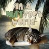 undefined In A Purrfect World - Pet Life Radio Original