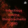 undefined Infectious Bovine Rhinotracheitis (IBR)