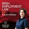 undefined Irish Employment Law