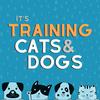 undefined It's Training Cats and Dogs!