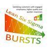 undefined Lean Six Sigma Bursts