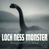 undefined Loch Ness Monster