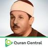 undefined Mahmoud Ali Al banna