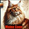 undefined Maine Coon