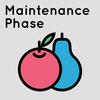 undefined Maintenance Phase