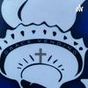 undefined MAKE AMERICA GREAT AGAIN BY BRINIGING CHRISTIAN DOCTRINE OF EARLY AMERICA-PREDESTINATION-WHITEF