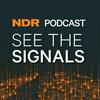 undefined Ned Davis Research: See the Signals Podcast
