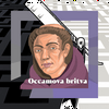 undefined Occamova britva