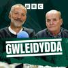 undefined Gwleidydda